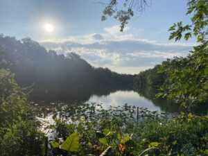 Peddie Lake taken by Isis Henderson